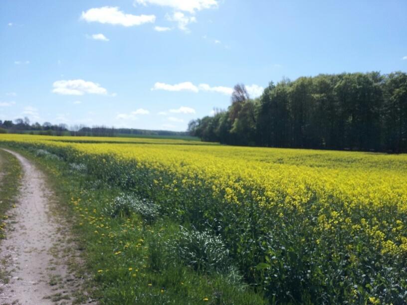 Ferienwohnung Zimmert Buitenkant foto